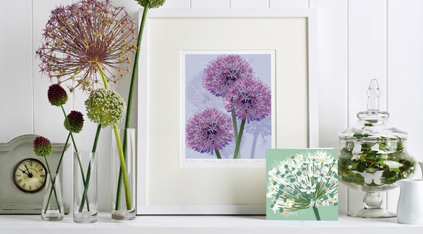 Allium collection