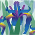 SPR/C007: flag iris