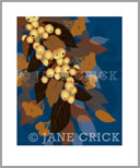 AUT/AP010: crab apple