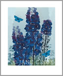 SUMM/AP0013: delphiniums