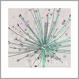 ALL/AP002: giant allium