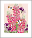 SUMM/AP0015: lupins