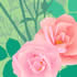 SUMM/C002: pink roses