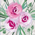 SUMM/C023: pinks