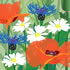 SUMM/C001: poppyfield