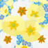 SPR/C014: primroses