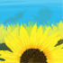 SUMM/C024: sunflowers ukraine