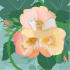 SUMM-C025: english climbing rose