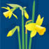 SPR/C010: tete-a-tete