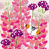 SUMM/C015: lupins