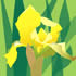 SPR/C005: yellow iris