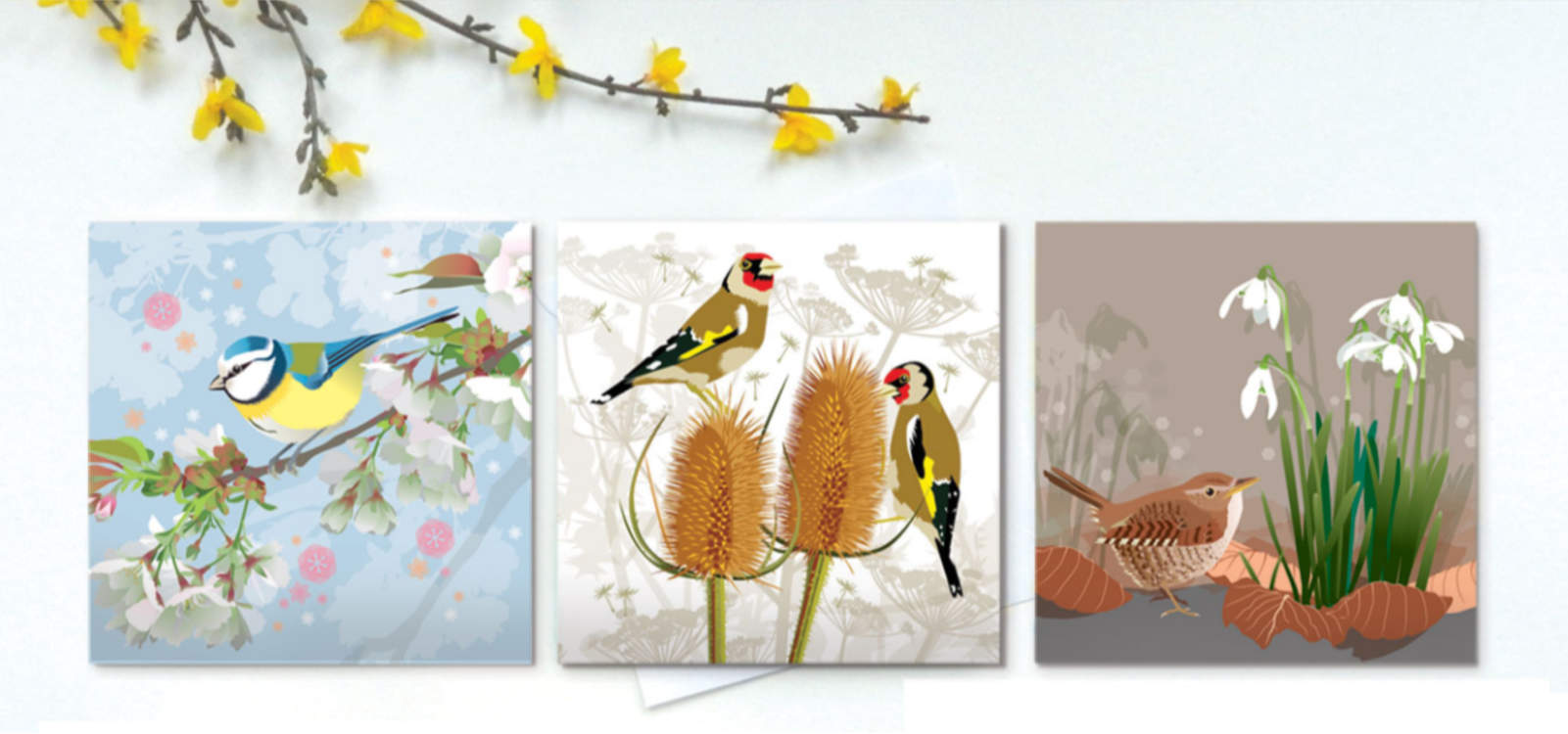 Jane Crick website banner